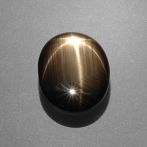 7.53克拉天然黑色星光蓝宝石，椭圆形切割，12.5×9.8毫米，不透明