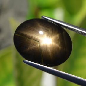 6.32克拉天然黑色星光蓝宝石，椭圆形切割，14.7×11.6毫米，不透明
