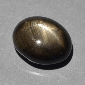 10.43克拉天然黑色星光蓝宝石，椭圆形切割，13.2×10.4毫米，不透明