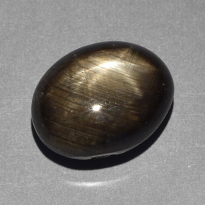 10.43克拉天然黑色星光蓝宝石，椭圆形切割，13.2×10.4毫米，不透明