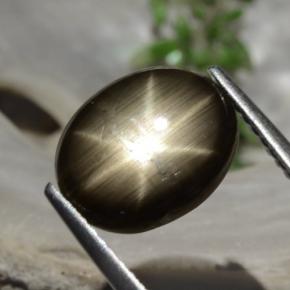 3.26克拉天然星光蓝宝石，椭圆形切割，不透明