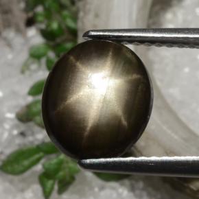 2.94克拉天然黑色星光蓝宝石，椭圆形切割，10×8.5毫米，不透明