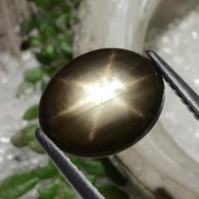 2.94克拉天然黑色星光蓝宝石，椭圆形切割，10×8.5毫米，不透明