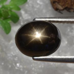 4.91克拉天然黑色星光蓝宝石，椭圆形切割，10×8.1毫米，不透明