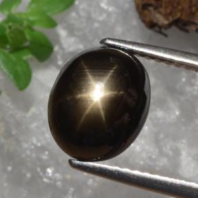 4.91克拉天然黑色星光蓝宝石，椭圆形切割，10×8.1毫米，不透明