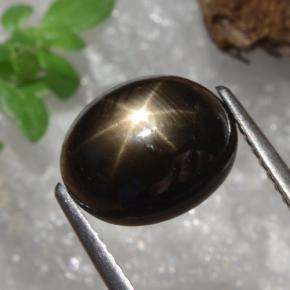 4.91克拉天然黑色星光蓝宝石，椭圆形切割，10×8.1毫米，不透明