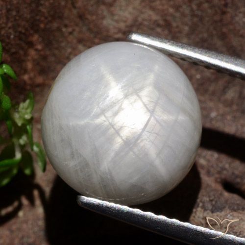 8.80ct 天然 非常浅灰色 星光蓝宝石, 圆形的, 不透明
