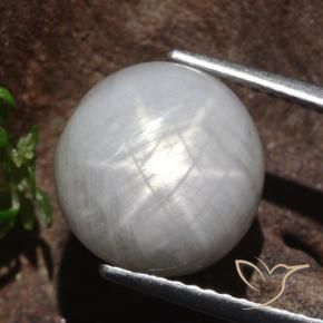 8.80克拉天然星光蓝宝石，圆形的，不透明