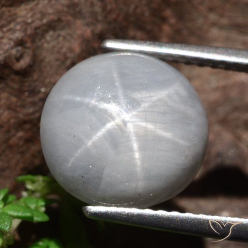 8.96ct 天然 中灰色 星光蓝宝石, 圆形的, 不透明