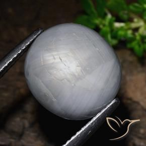 14.39克拉天然星光蓝宝石，椭圆形，不透明
