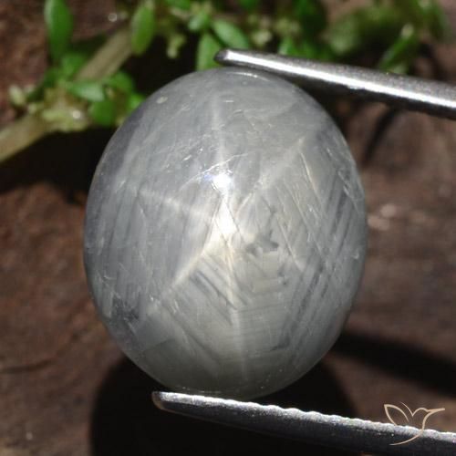 13.46ct 天然 中灰色 星光蓝宝石, 椭圆形, 不透明
