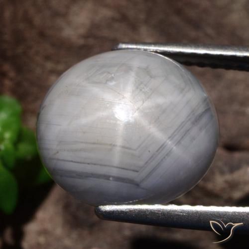 10.69克拉天然星光蓝宝石，椭圆形，不透明