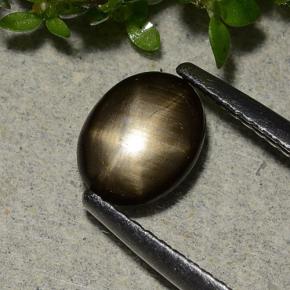 1.15克拉天然黑色星光蓝宝石，椭圆形切割，7.6×6.1毫米，不透明