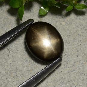1.15克拉天然黑色星光蓝宝石，椭圆形切割，7.6×6.1毫米，不透明