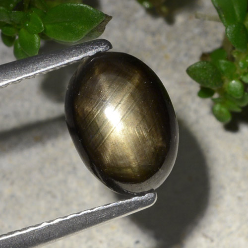 2.20克拉天然黑色星光蓝宝石，椭圆形切割，8.9×6.4毫米，不透明