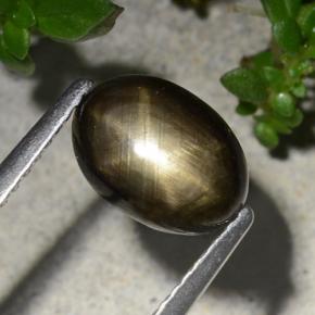 2.20克拉天然黑色星光蓝宝石，椭圆形切割，8.9×6.4毫米，不透明