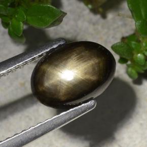 2.20克拉天然黑色星光蓝宝石，椭圆形切割，8.9×6.4毫米，不透明