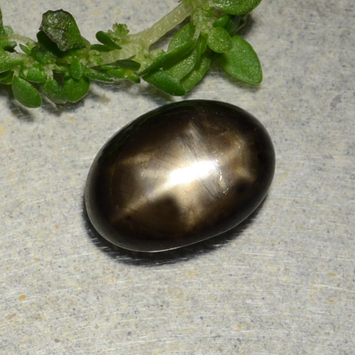 2.31克拉天然星光蓝宝石，椭圆形切割，不透明