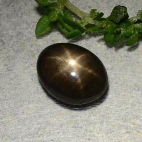1.97克拉天然黑色星光蓝宝石，椭圆形切割，8.3×6.3毫米，不透明