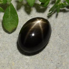 2.60克拉天然黑色星光蓝宝石，椭圆形切割，8.3×6毫米，不透明