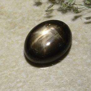 2.87克拉天然黑色星光蓝宝石，椭圆形切割，8.8×6.8毫米，不透明