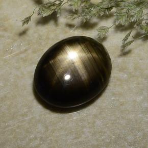 2.37克拉天然黑色星光蓝宝石，椭圆形切割，8.8×7.1毫米，不透明