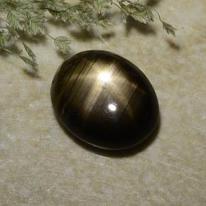2.37克拉天然黑色星光蓝宝石，椭圆形切割，8.8×7.1毫米，不透明