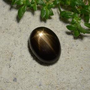 1.96克拉天然黑色星光蓝宝石，椭圆形切割，8×6.1毫米，不透明