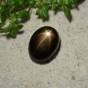 1.96克拉天然黑色星光蓝宝石，椭圆形切割，8×6.1毫米，不透明