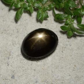 2.45克拉天然黑色星光蓝宝石，椭圆形切割，8.5×6.6毫米，不透明