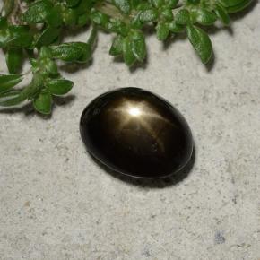 2.45克拉天然黑色星光蓝宝石，椭圆形切割，8.5×6.6毫米，不透明