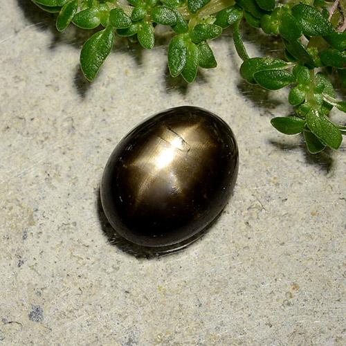 2.07克拉天然黑色星光蓝宝石，椭圆形切割，8.4×6.6毫米，不透明