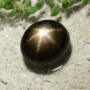 3.31克拉天然黑色星光蓝宝石，椭圆形切割，8.3×7.3毫米，不透明