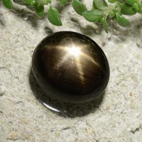3.31克拉天然黑色星光蓝宝石，椭圆形切割，8.3×7.3毫米，不透明