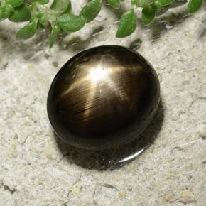 3.31克拉天然黑色星光蓝宝石，椭圆形切割，8.3×7.3毫米，不透明