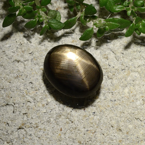 2.10克拉天然黑色星光蓝宝石，椭圆形切割，8.2×6.4毫米，不透明