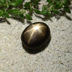 2.10克拉天然黑色星光蓝宝石，椭圆形切割，8.2×6.4毫米，不透明