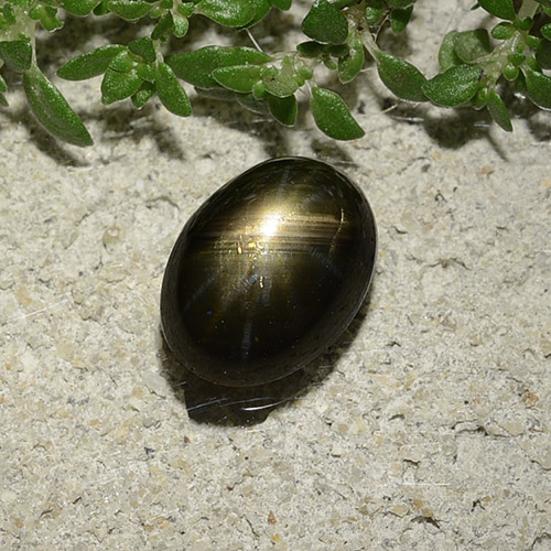 2.47克拉天然黑色星光蓝宝石，椭圆形切割，8.8×6.5毫米，不透明