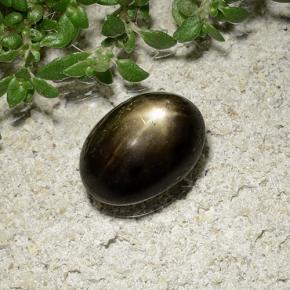 2.41克拉天然星光蓝宝石，椭圆形切割，不透明