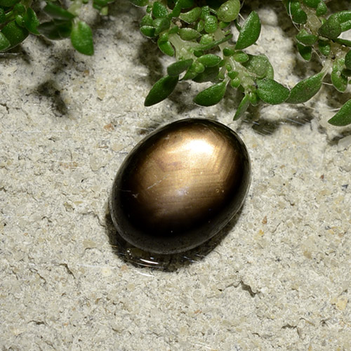 2.06克拉天然星光蓝宝石，椭圆形切割，不透明