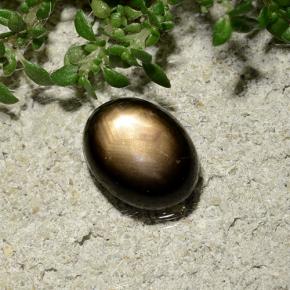 2.06克拉天然星光蓝宝石，椭圆形切割，不透明