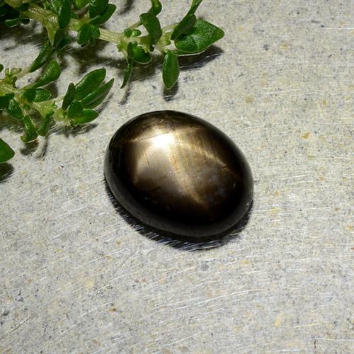1.97克拉天然黑色星光蓝宝石，椭圆形切割，8.5×6.6毫米，不透明