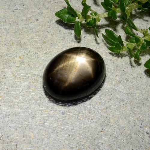 1.97克拉天然黑色星光蓝宝石，椭圆形切割，8.5×6.6毫米，不透明