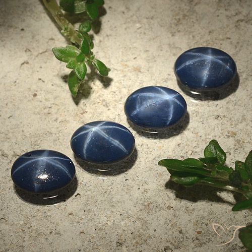 2.89ctw 天然 深蓝色 星光蓝宝石, 椭圆形, 不透明