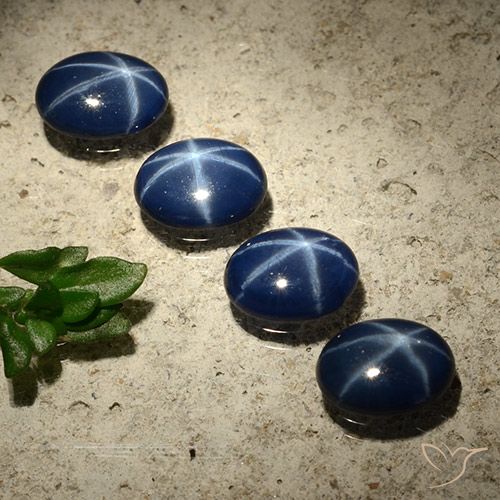 3.01ctw 天然 暗蓝色 星光蓝宝石, 椭圆形, 不透明