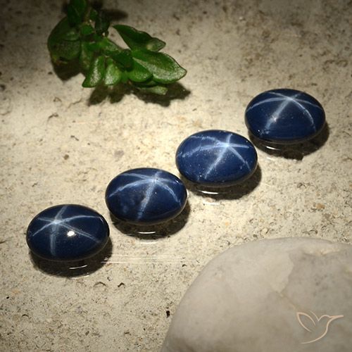 3.64ctw 天然 深蓝色 星光蓝宝石, 椭圆形, 不透明