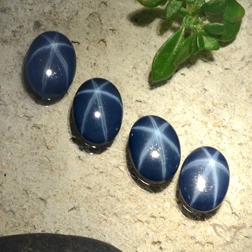 2.84ctw 天然 暗蓝色 星光蓝宝石, 椭圆形, 不透明