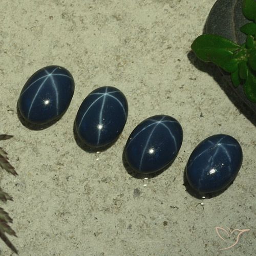 4.04ctw 天然 深蓝色 星光蓝宝石, 椭圆形, 不透明