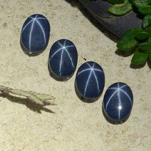 3.20ctw 天然 深蓝色 星光蓝宝石, 椭圆形, 不透明