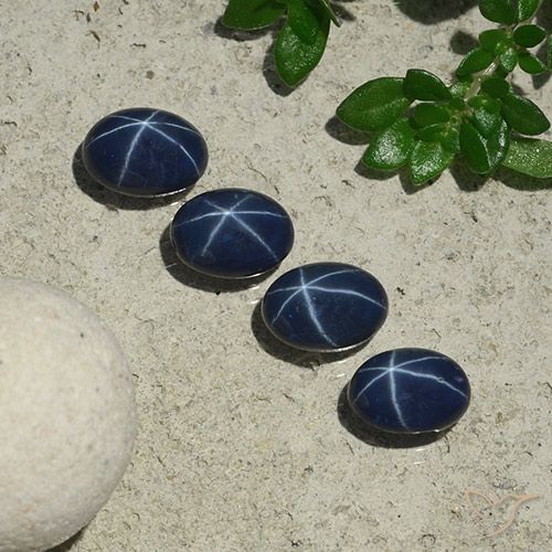 4.57ctw 天然 深蓝色 星光蓝宝石, 椭圆形, 不透明